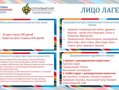 Концепция ДОЛ "Сосновый бор"