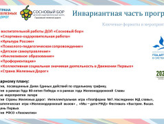 Концепция ДОЛ "Сосновый бор"