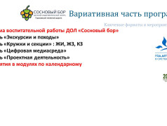 Концепция ДОЛ "Сосновый бор"