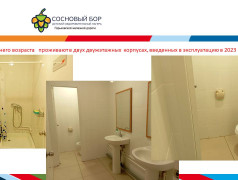 Материально-техническое обеспечение и оснащенность организации отдыха детей и их оздоровления ДОЛ "Сосновый бор" ГЖД