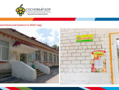 Материально-техническое обеспечение и оснащенность организации отдыха детей и их оздоровления ДОЛ "Сосновый бор" ГЖД