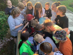 Квест-игра "Иммуноген"