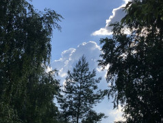 Моя малая Родина