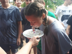 Игра "Форт Боярд"