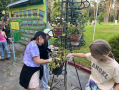 День экологии