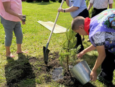 Наши традиции