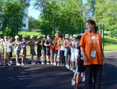&laquo;Стартинейджер&raquo; в &laquo;Сахареже&raquo;