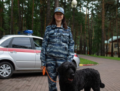 Безопасность без границ: сотрудники правоохранительных органов провели масштабный урок для детей в Заслоновграде