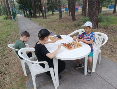 Шахматы в лагере: старт интеллектуального турнира