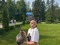 День эколога в нашем лагере