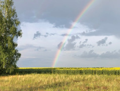 Моя малая Родина