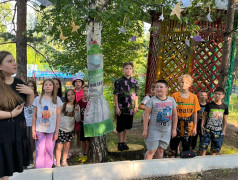 КОНКУРС &laquo;У КАЖДОГО ДЕРЕВЦА СВОЙ ПРАЗДНИК&raquo;