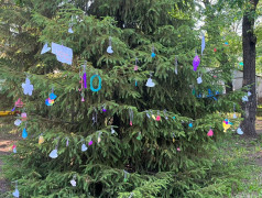 КОНКУРС &laquo;У КАЖДОГО ДЕРЕВЦА СВОЙ ПРАЗДНИК&raquo;