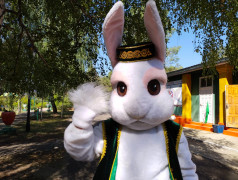 Спартакиада детей железнодорожников ГЖД