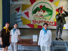 Выборы Тин-лидеров лагеря