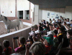 Нам некогда скучать - мы путешествуем с пользой!