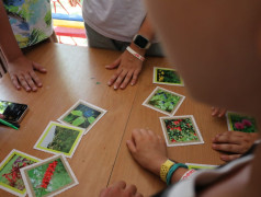 Стратегическая командная игра "Железнодорожный вызов" в ДОЛ "Бештау"