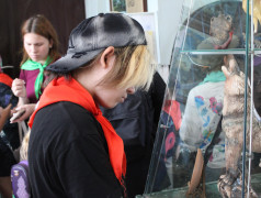 Увлекательные путешествия по КМВ