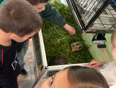 Поездка в Центр детского творчества, эколого-биологический отдел &laquo;Живой уголок&raquo;.
