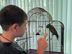 Поездка в Центр детского творчества, эколого-биологический отдел &laquo;Живой уголок&raquo;.