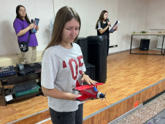 День воздушного флота России