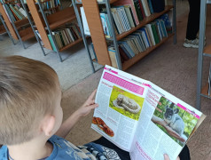 Литературный час, посвящённый творчеству Николая Николаевича Носова.