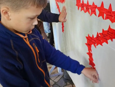 Память в каждой звезде: в лагере прошла акция &bdquo;Звезда памяти&ldquo; ко Дню скорби