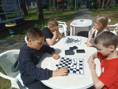 Черные или белые? Кто же победит?