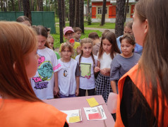 День железнодорожных профессий в в Заслоновграде: &laquo;Ярмарка профессий&raquo; открыла двери в мир железных дорог