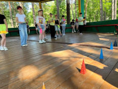 Игра "Безопасная железная дорога: правила и приключения"