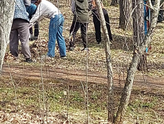 Большой субботник в "ДОЛ им. Гагарина": Готовимся к лету вместе!