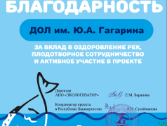 ДОЛ им. Ю. Гагарина получил благодарность за вклад в оздоровление рек!