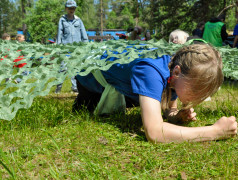"Железнодорожный вызов" в ДОЛ "Маяк" принят!