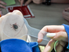 "Железнодорожный вызов" в ДОЛ "Маяк" принят!