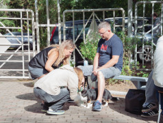 Родительский день в "Маяке" &ndash; тепло, улыбки и новые традиции!