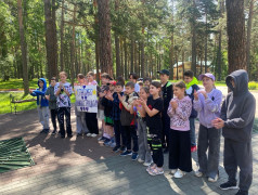 Операция &laquo;Спасибо&raquo; в Заслоновграде: трогательная традиция благодарности!