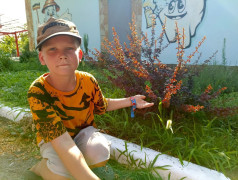 Исследовательский час в ДОЛ "Локомотив"