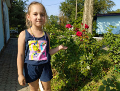 Исследовательский час в ДОЛ "Локомотив"