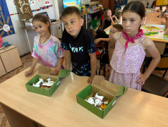 Поиск супер силы квадронавтов