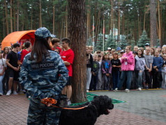 Безопасность без границ: сотрудники правоохранительных органов провели масштабный урок для детей в Заслоновграде