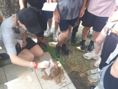 Игра "Форт Боярд"