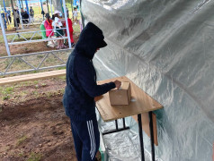 Выборы мэра города &laquo;Сибиряк&raquo;