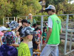 Выставка хобби-клубов