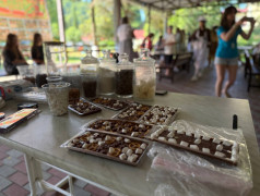 "Экспресс" утонул в шоколаде и веселье! 