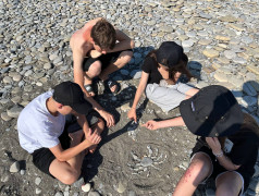 Морские баталии на гальке: конкурс фигур в ДОЛ "Экспресс"!