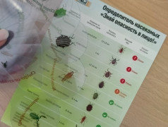 Экспедиция "Твоё безопасное Путешествие" в ДКОЦСТ "Услада"