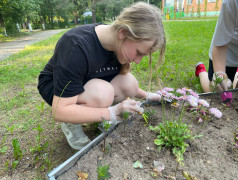 День экологии