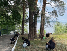 Ярмарка вакансий в лагере &laquo;Услада&raquo;!