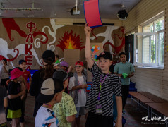 Вступили в борьбу с патогенами