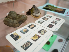 Подводим итоги научно-исследовательского кружка &laquo;Моя малая Родина&raquo;